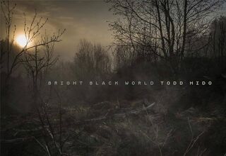 Bright Black World - Todd Hido (ISBN 9781590054758)
