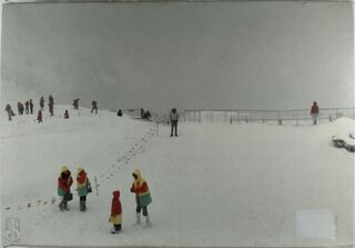 The broad way - Paolo Pellizzari