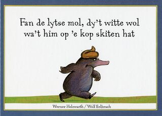 Fan de lytse mol dy't witte wol - Holzwarth (ISBN 9789062734740)