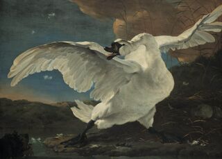 Poster Jan Asselijn - De Bedreigde Zwaan - (ISBN 2500015059010)