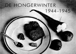 De hongerwinter, 1944-1945 - David Barnouw, Madeleine Gimpel (ISBN 9789025954420)