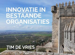 Innovatie in bestaande organisaties - Tim De Vries (ISBN 9789402148268)