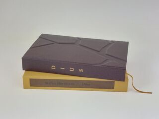 Dius [Bibliofiele uitgave - 14 ex.] - Stefan Hertmans (ISBN 9789403133836)