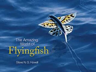 The Amazing World of Flyingfish - Steve N. G. Howell (ISBN 9780691160115)