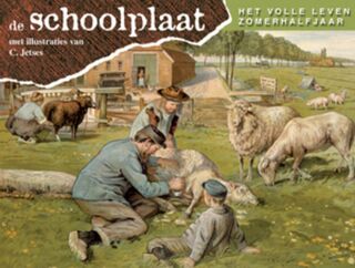 Schoolplaat: het volle leven - zomerhalfjaar - C. Jetses (ISBN 9789075531633)