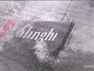 Alinghi - Tim Jeffrey (ISBN 9782828907440)
