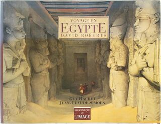 Voyage En Egypte - J. C. Simon, G. Rachet (ISBN 9782878300291)