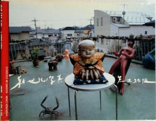 Shinseiki No Shashin - Nobuyoshi Araki