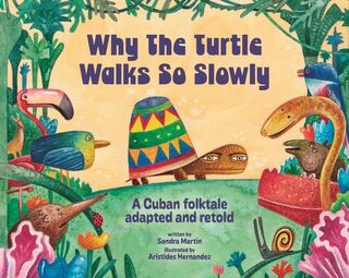 Why the Turtle Walks So Slowly - Sandra Martín Denis (ISBN 9781478885412)