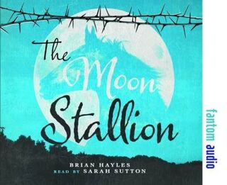 The Moon Stallion - Brian Hayles (ISBN 9781781961223)
