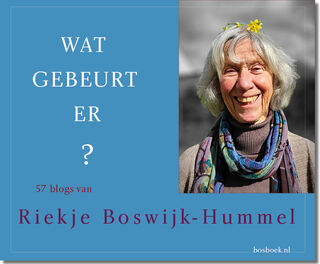 Wat gebeurt er? - Riekje Boswijk-Hummel (ISBN 9789090392288)