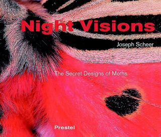 Night Visions - Joseph H. Scheer (ISBN 9783791329680)
