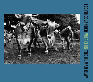 Lee Friedlander: Workers - Lee Friedlander (ISBN 9783958295001)