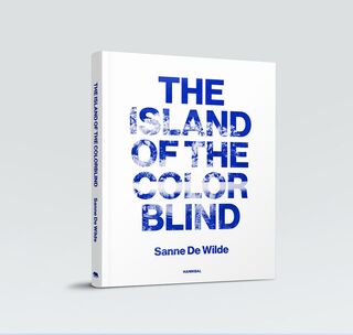 The Island of color blind - Sanne De Wilde (ISBN 9789492677068)