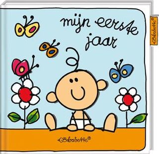 Mijn eerste jaar - Babette Harms (ISBN 9789461448378)
