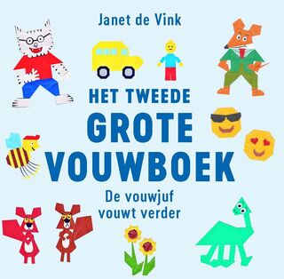 Het tweede grote vouwboek - Janet de Vink (ISBN 9789043921404)