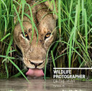 Wildlife Photographer of the Year - Rosamund Kidman Cox (ISBN 9780565094287)