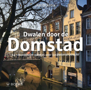 Dwalen door de Domstad - Iris Dijkstra (ISBN 9789462587120)