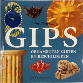Gips - John Plowman, Marjan Faddegon-doets (ISBN 9789021324258)