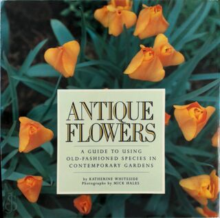 Antique Flowers - Katherine Whiteside (ISBN 9780394573397)