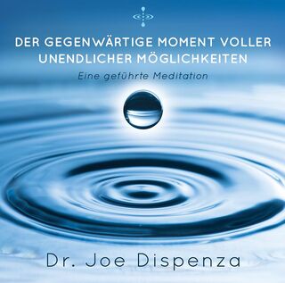 Der gegenwärtige Moment voller unendlicher Möglichkeiten - Joe Dispenza (ISBN 9783956280221)