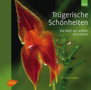Trügerische Schönheiten - Christian Ziegler (ISBN 9783800178223)