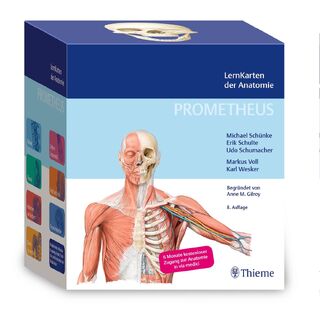 PROMETHEUS LernKarten der Anatomie - Michael Schünke, Erik Schulte, Udo Schumacher (ISBN 9783132444256)