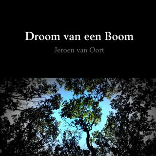 Droom van een Boom - Jeroen Van Oort (ISBN 9789402174809)