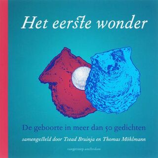 Het eerste wonder (ISBN 9789055158362)