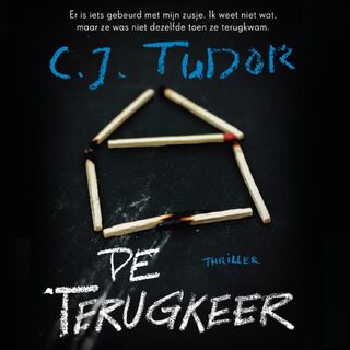 De terugkeer - C.J. Tudor (ISBN 9789046172360)