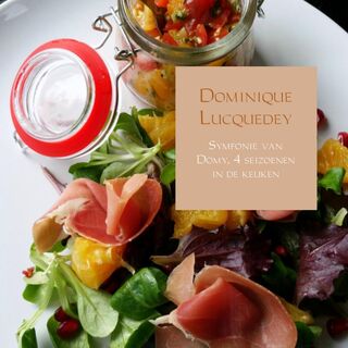Symfonie van Domy - Dominique Lucquedey (ISBN 9789402141313)