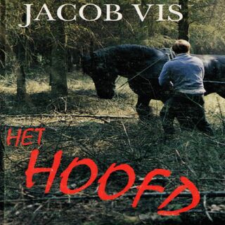 Het hoofd - Jacob Vis (ISBN 9789462175044)