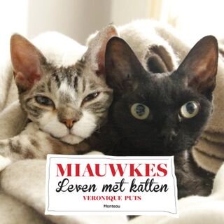 Miauwkes - Veronique Puts (ISBN 9789022328835)