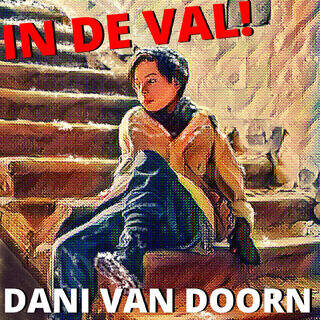 In de val - Dani van Doorn (ISBN 9789462179165)
