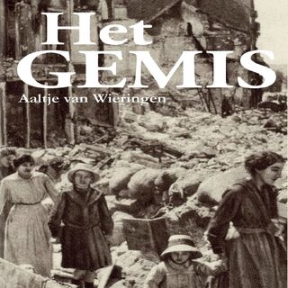 Het gemis - Aaltje van Wieringen (ISBN 9789464490145)