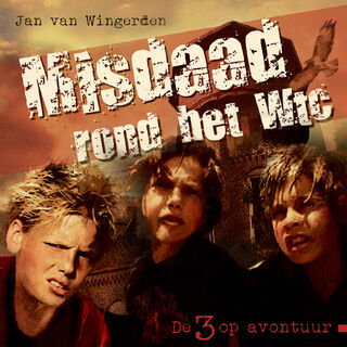 Misdaad rond het Wtc - Jan van Wingerden (ISBN 9789087189693)