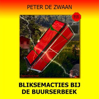 Bliksemacties bij de Buurserbeek - Peter de Zwaan (ISBN 9789464496161)