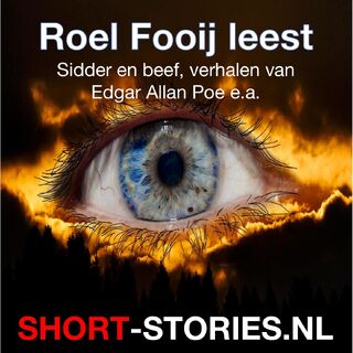 Roel Fooij leest - Edgar Allan Poe, Donald Honig, Guy de Maupassant, Henry R. Wakefield, Herman Pieter de Boer, W.H. Pugmire, R. Bloch, R. Russel, Robert Arthur, Stanley Ellin (ISBN 9789464496475)