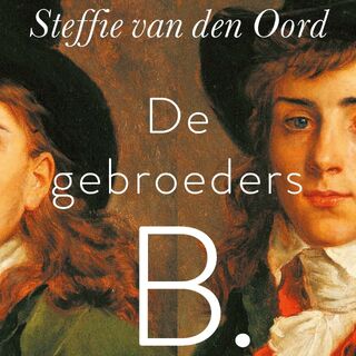 De gebroeders B. - Steffie van den Oord (ISBN 9789021421230)