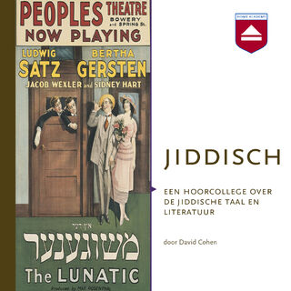 Jiddisch - David Cohen (ISBN 9789085302544)