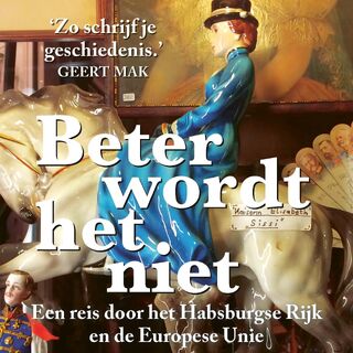 Beter wordt het niet - Caroline de Gruyter (ISBN 9789044545838)