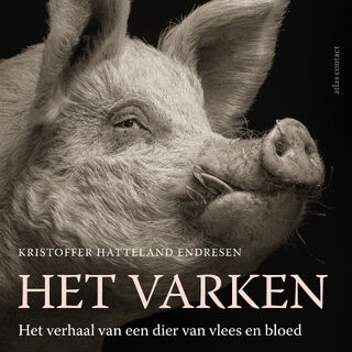 Het varken. Het verhaal van een dier van vlees en bloed - Kristoffer Hatteland Endresen (ISBN 9789045044514)