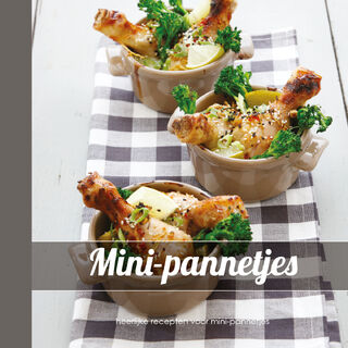 Mini-pannetjes - Unknown (ISBN 9789044339239)