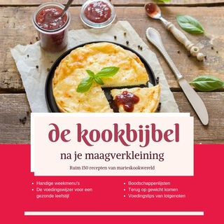 de Kookbijbel na je maagverkleining - Marie josee Koks (ISBN 9789090318097)