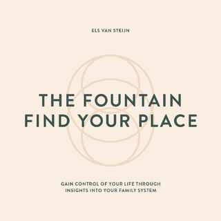 The fountain, find your place - Els van Steijn (ISBN 9789083183602)