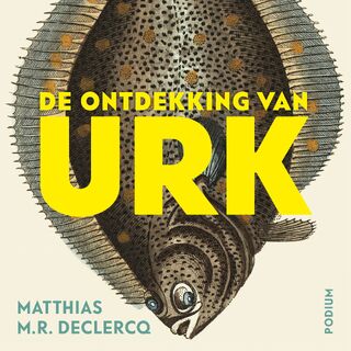 De ontdekking van Urk - Matthias M.R. Declercq (ISBN 9789463810623)