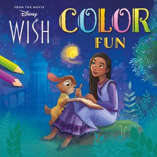 Color Fun Wish (ISBN 9789044766028)