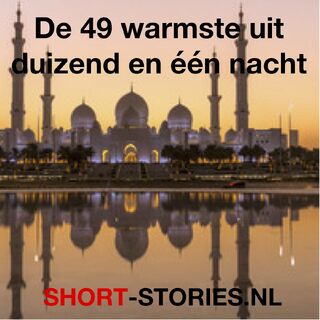 De 49 warmste uit duizend en één nacht - Diverse Auteurs (ISBN 9789464932270)
