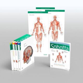 Sobotta Atlas of Anatomy, Package, 17th Ed., English/Latin - Friedrich Paulsen, Jens Waschke (ISBN 9780702067648)