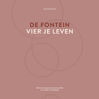 De fontein, vier je leven - Els van Steijn (ISBN 9789083344713)